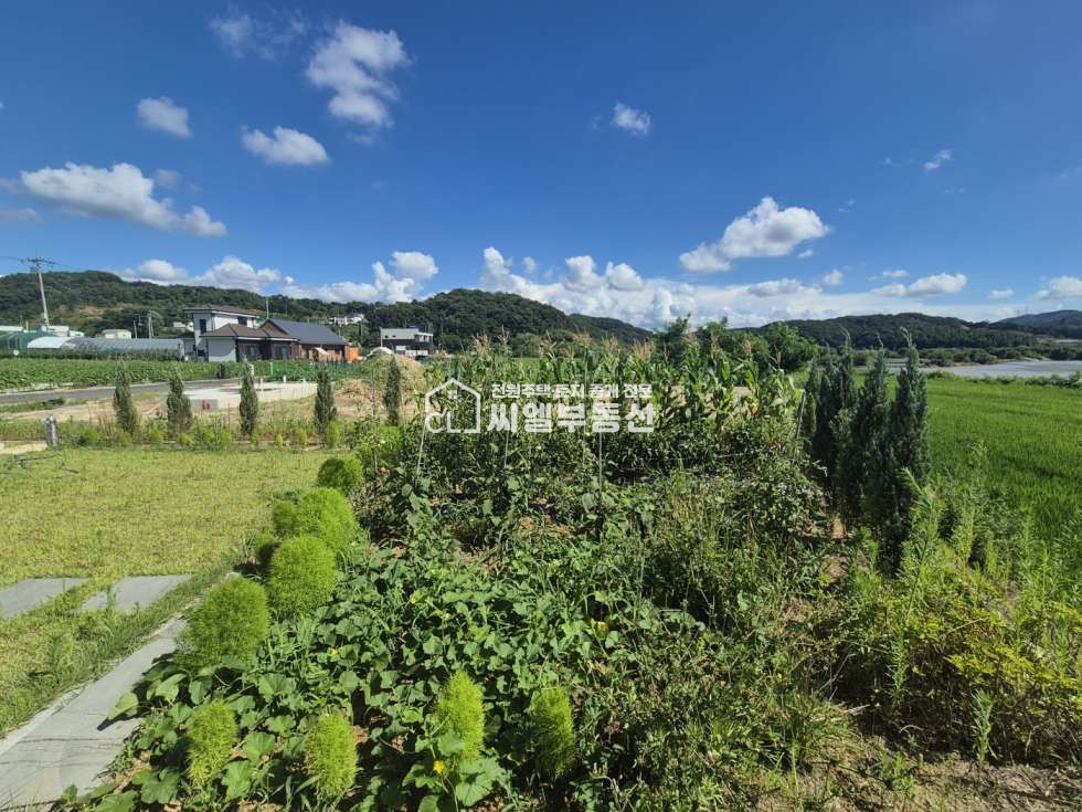 충남 아산시 도고면 석당리 토지 121평(400㎡), 연면적 24평(80㎡) 매매 매물번호 12566 사진 5