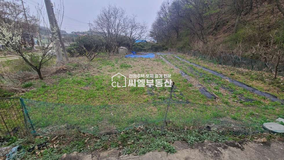 충남 아산시 염치읍 강청리 토지 174평(575㎡), 연면적 30평(98.22㎡ ) 매매 매물번호 12159 사진 4