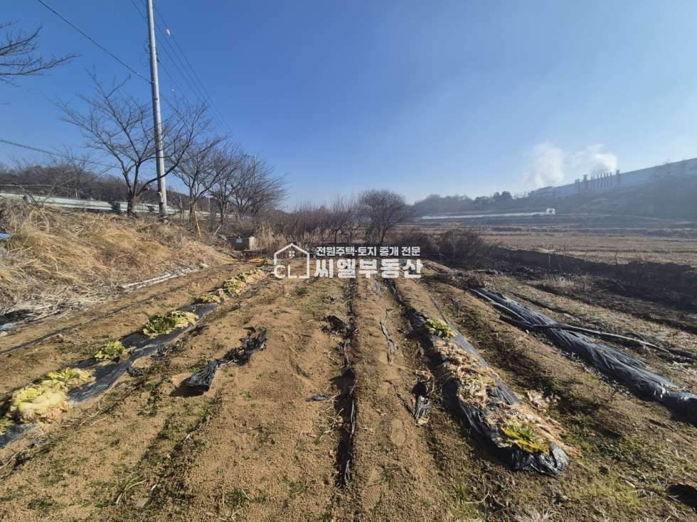 충남 아산시 인주면 문방리 1동 토지 428평(1,415㎡), 연면적 61평(203.99㎡) 매매 매물번호 12397 사진 5