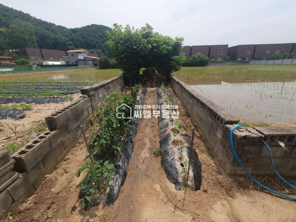 충남 천안동남구 풍세면 남관리 토지 98평(323㎡), 연면적 30평(99㎡) 매매 매물번호 12205 사진 5