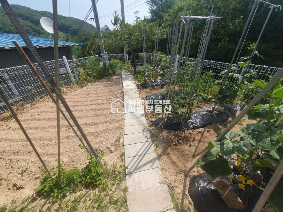 충남 천안동남구 북면 납안리 토지 185평(610㎡), 연면적 17평 (56㎡) 매매 매물번호 12209 사진 10