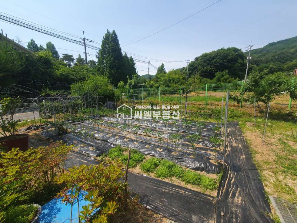 충남 천안동남구 북면 납안리 토지 185평(610㎡), 연면적 17평 (56㎡) 매매 매물번호 12209 사진 12