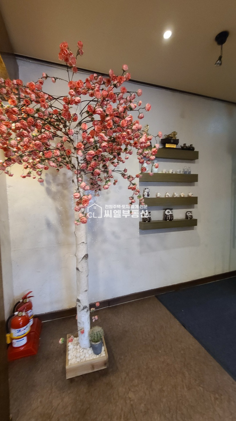 충남 천안서북구 두정동 1동 음식점, 45평(148㎡) 월세 매물번호 10572 사진 6