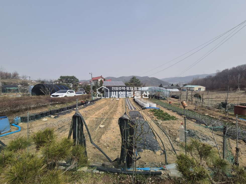 충남 아산시 도고면 신유리 토지 385평(1,298㎡), 연면적 36평(118㎡ ) 매매 매물번호 12465 사진 4