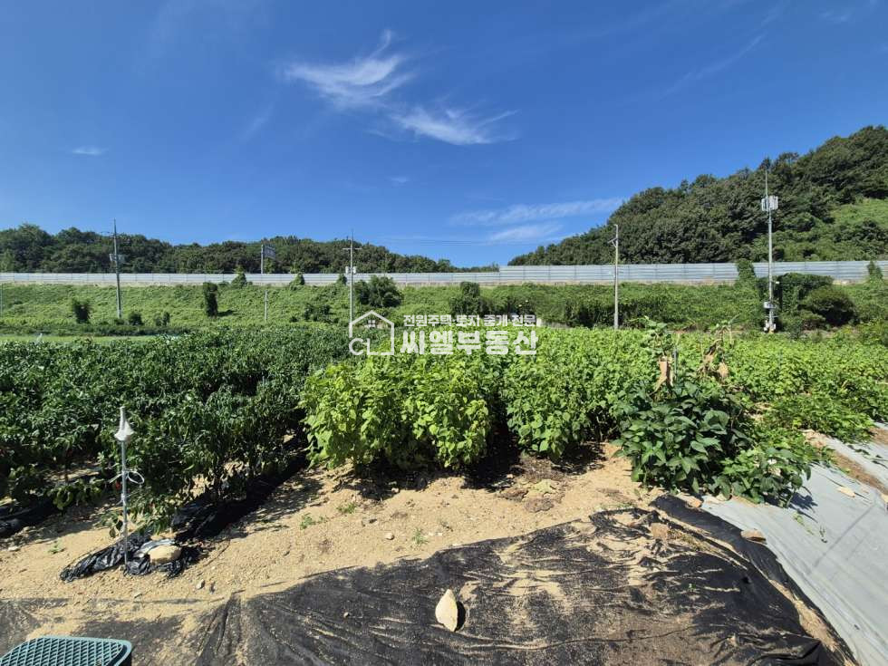 충남 아산시 송악면 평촌리 토지 576평(1,904㎡), 연면적 30평(100㎡) 매매 매물번호 12612 사진 3