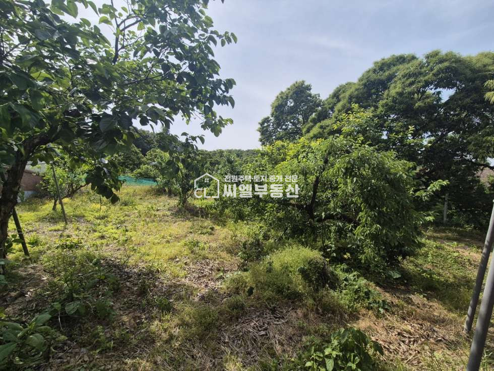 충남 아산시 음봉면 쌍룡리 토지 772평(2,554㎡), 연면적 48평(158.99㎡) 매매 매물번호 12526 사진 13